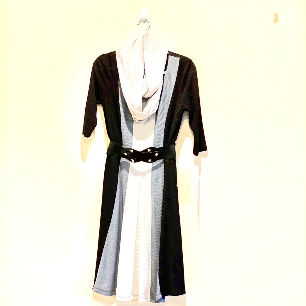 Signature by Robbie Bee dress